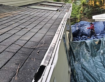 Gutters services